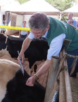 Foto: Jornal O Presente