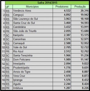 Pesquisa aponta Itaiópolis como maior produtor de fumo do estado (2)