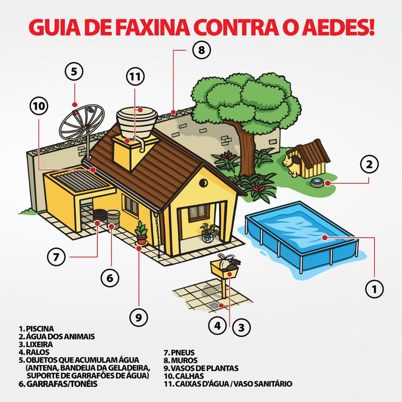 Mafra declara guerra contra o Aedes aegypt