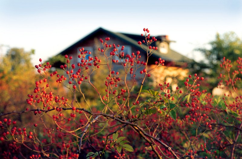 Apenas 31,94 propriedades rurais de Itaiópolis estão cadastradas no CAR