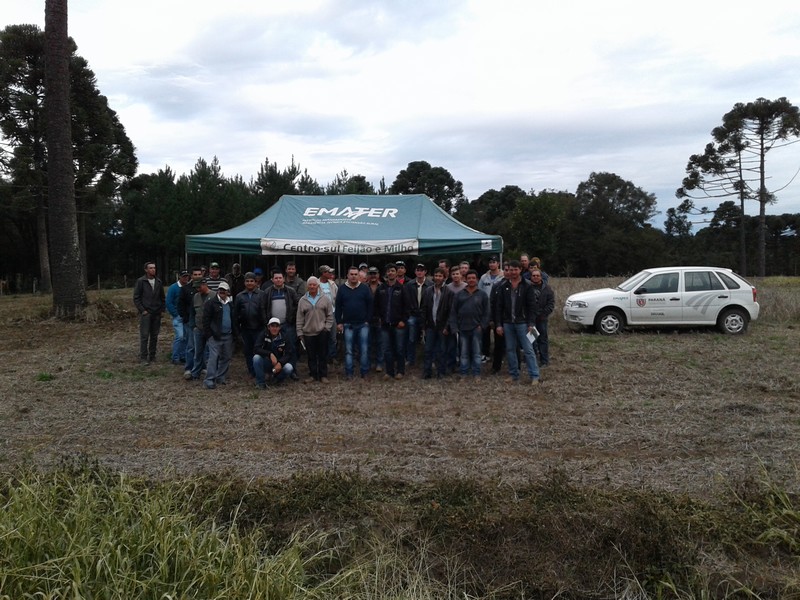 Tarde de campo “Plante Seu Futuro” sobre produção de soja sustentável (3)