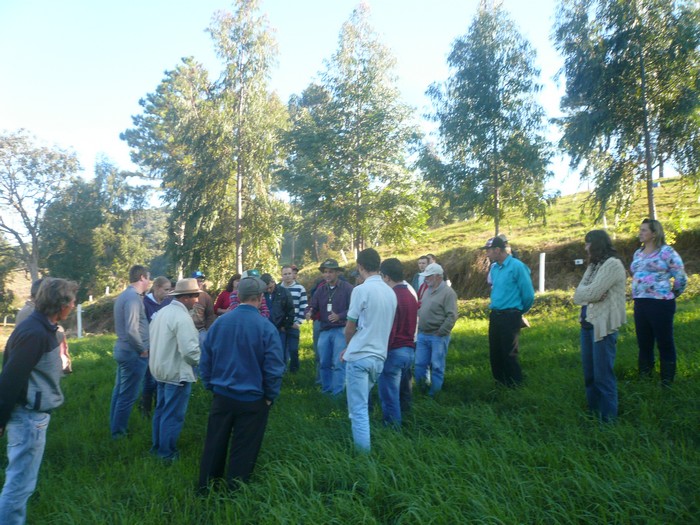 Epagri de Itaiópolis realiza capacitação diferenciada em produção de leite a base de pasto perene de verão (3)