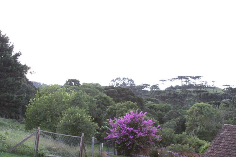 “Parque Natural do Passo” Importante passo é dado à favor da realização do projeto (1)