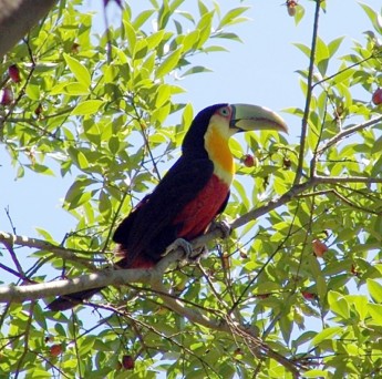 “Parque Natural do Passo” Importante passo é dado à favor da realização do projeto (2)