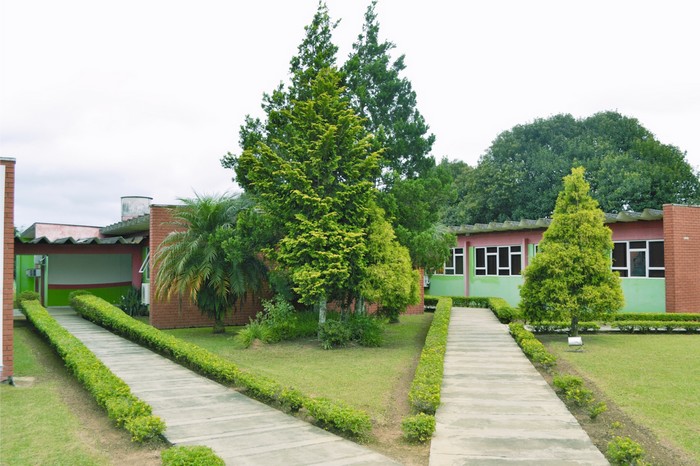 ADRs têm novo regimento interno