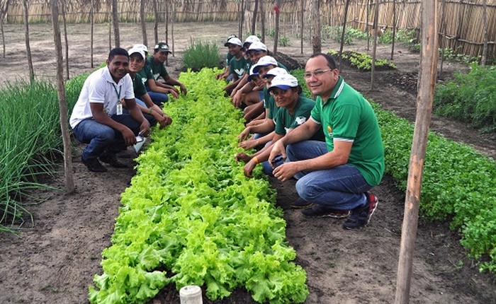 Programa “Plantando Saúde” acontece em Itaiópolis nesta quarta-feira