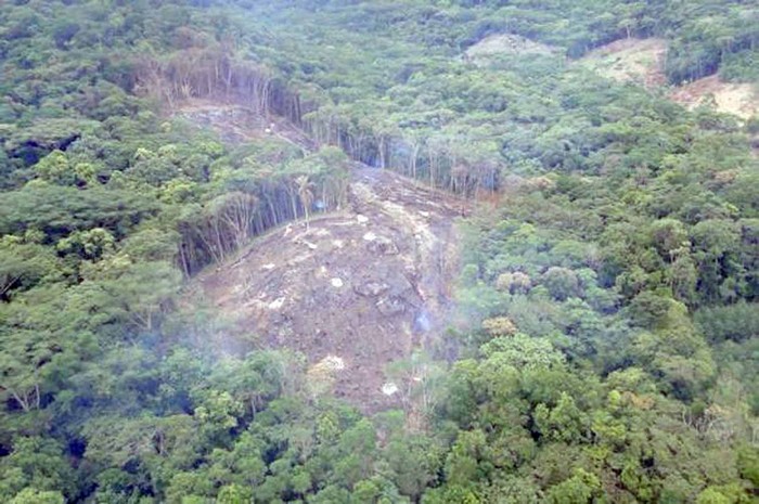 Mafra é a vice-campeã em desmatamento no estado, segundo ONG (2)