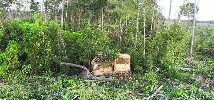 Mafra é a vice-campeã em desmatamento no estado, segundo ONG (3)