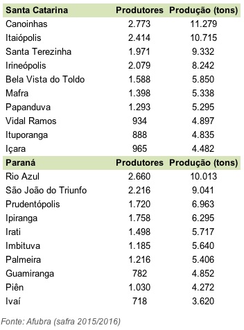 Mafra é a sexta maior produtora de tabaco de Santa Catarina (2)
