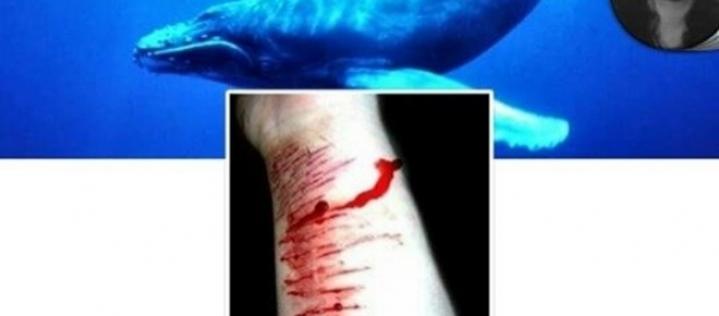 Entenda como funciona o fatídico jogo da “Baleia Azul”