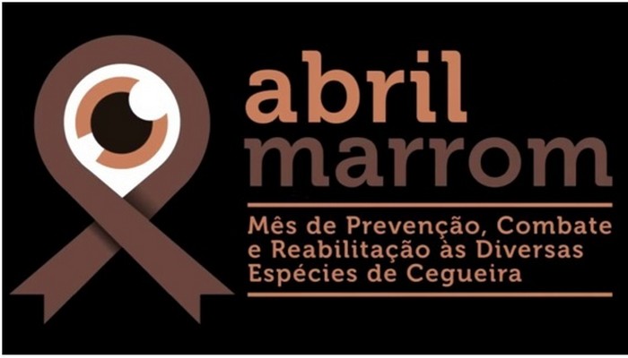 Associação Mafrense dos Deficientes Visuais celebra o Abril Marrom (1)