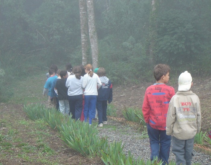 Foto: Trilha existente na Escola Agrícola de Mafra. No Parque do Passo pretende-se criar trilhas para que alunos possam estudar a sua biodiversidade.